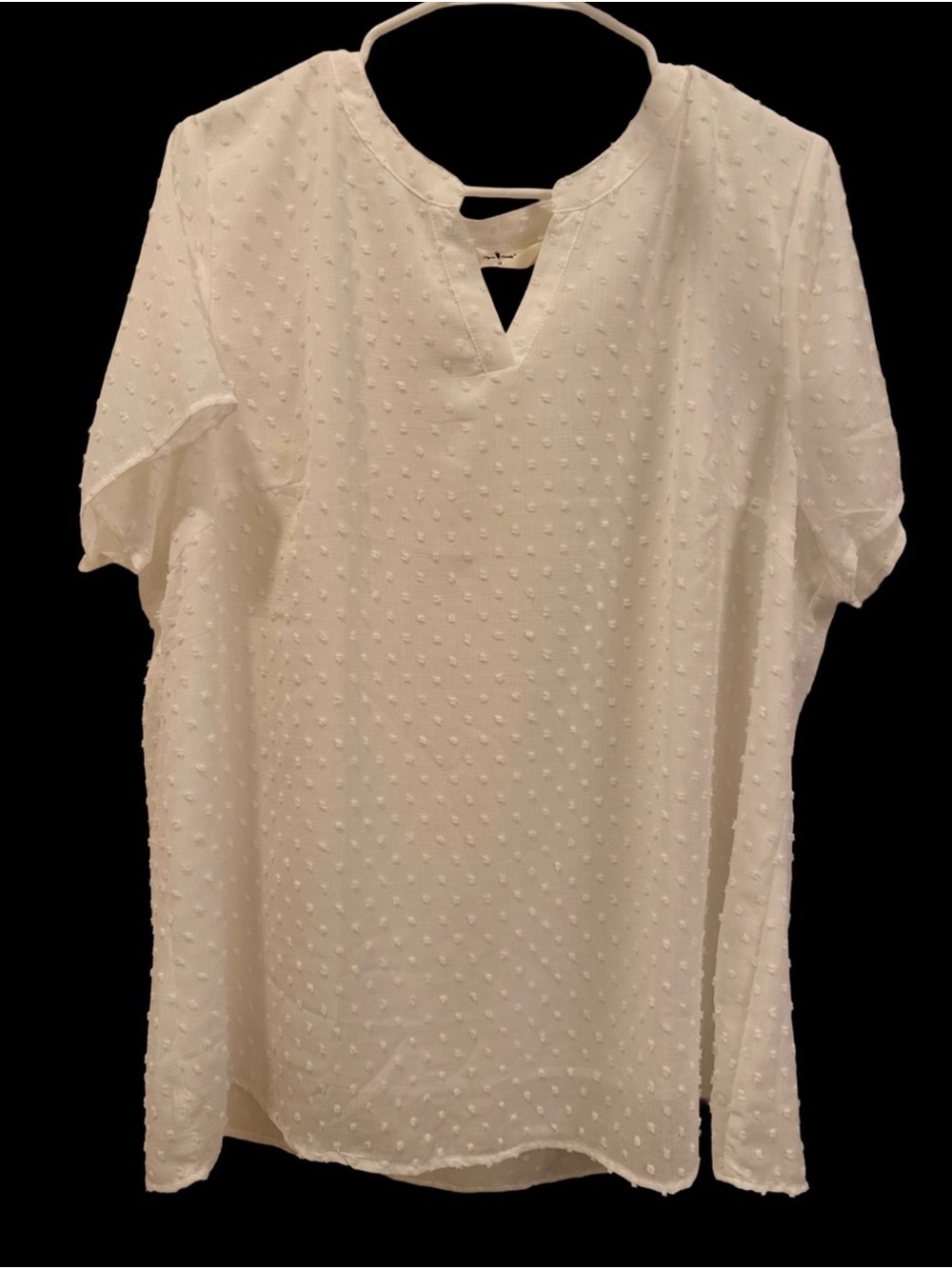 Agnes Orinda White Swiss Dot Blouse Top 1X Plus size V-neck Flutter sleeve
